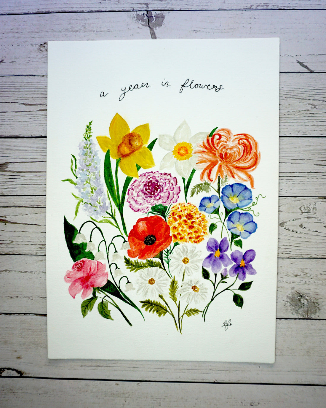 The Origin of Birth Flowers: A Blossoming Tradition