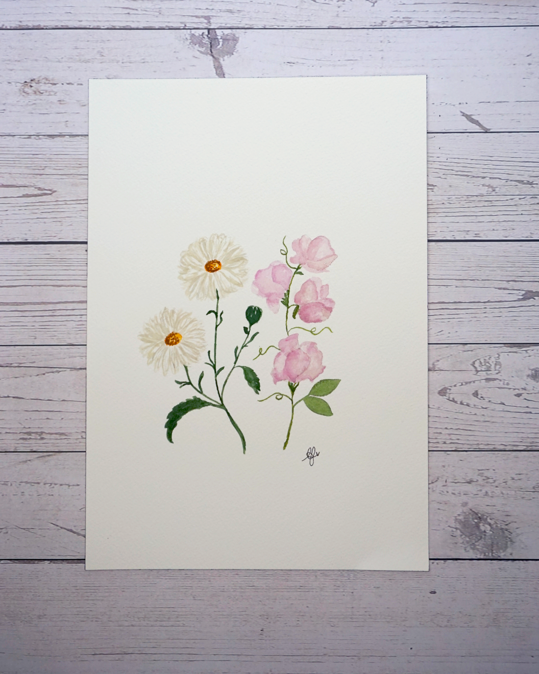 A Spotlight on the April Birth Flowers
