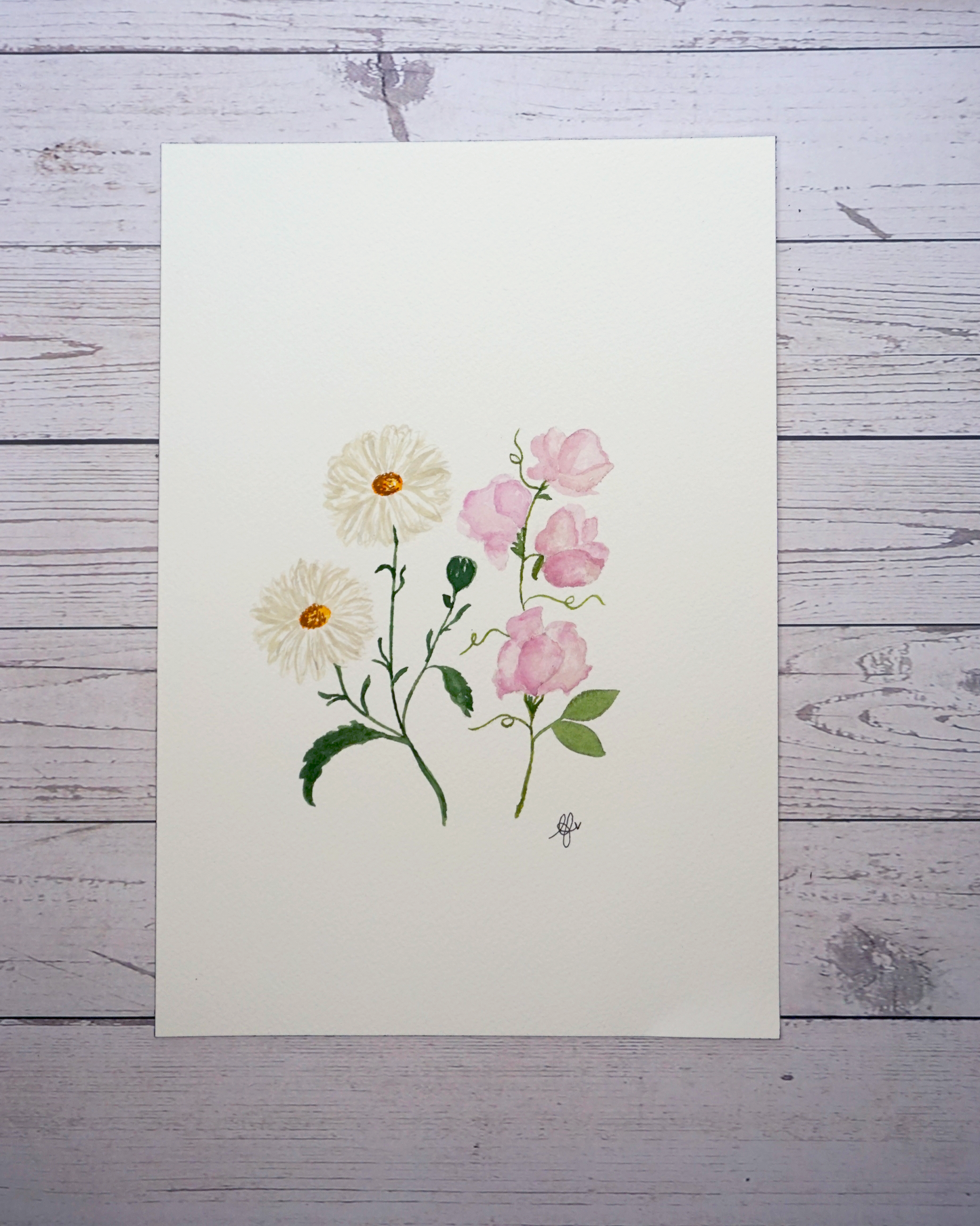 Birth flower month April painting of Daisies and Sweet Peas in watercolour by The Petal Cove, Lauren Fisher