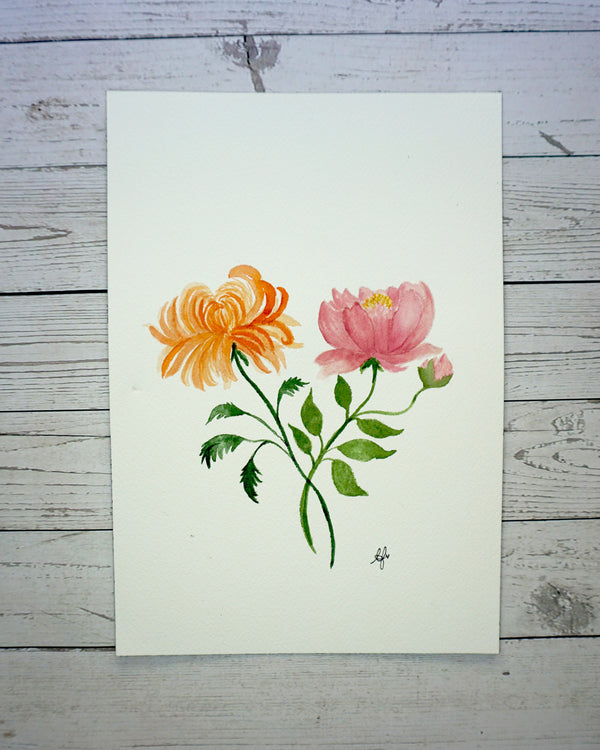 Chrysanthemum & Peony