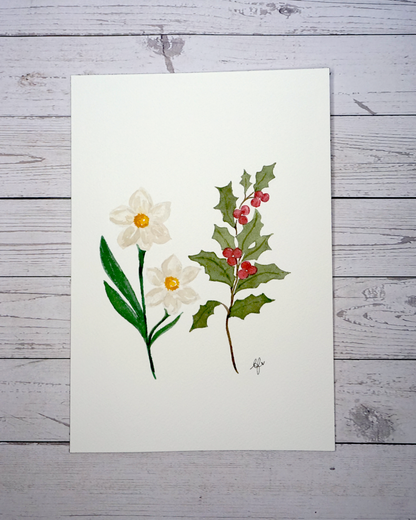 Birth flower month December painting Narcissus and Holly Berry in watercolour by The Petal Cove, Lauren Fisher