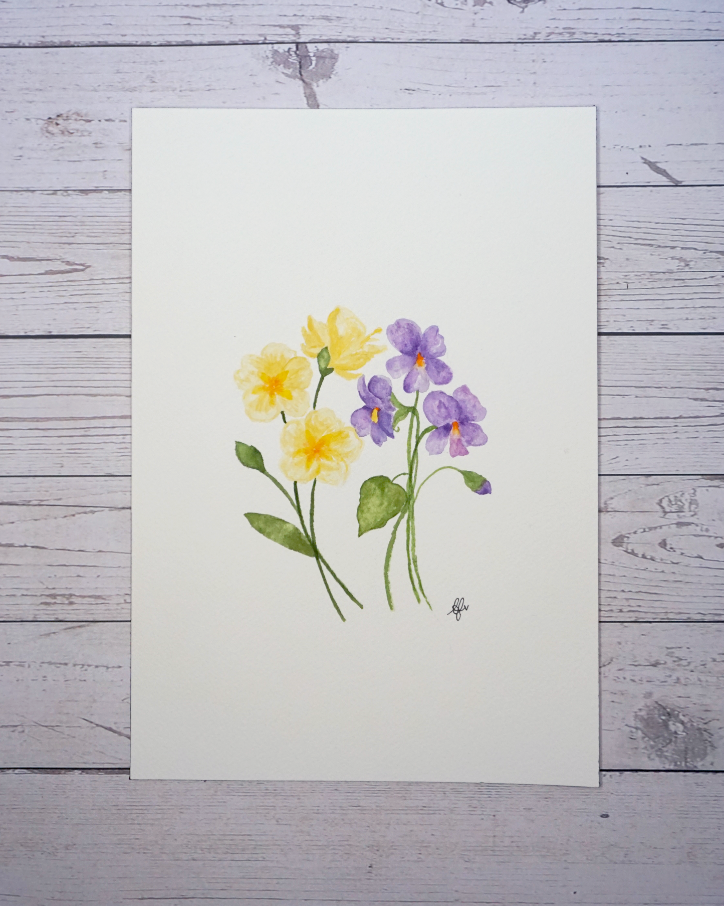 Birth flower month February painting Primrose and Violet in watercolour by The Petal Cove, Lauren Fisher