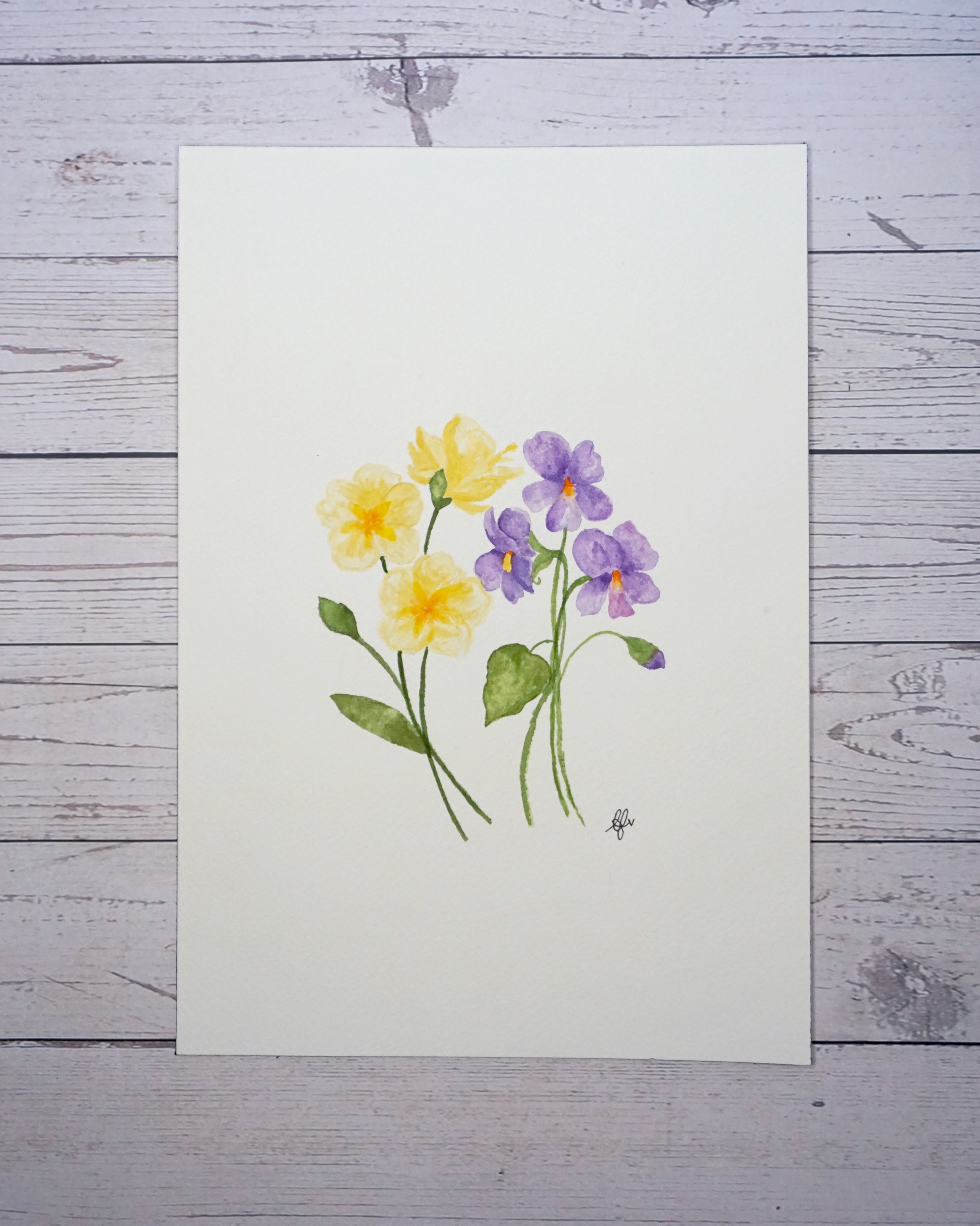 Birth flower month February painting Primrose and Violet in watercolour by The Petal Cove, Lauren Fisher