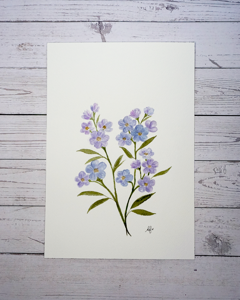 Forget-Me-Nots Myosotis Watercolour painting by The Petal Cove, Lauren Fisher