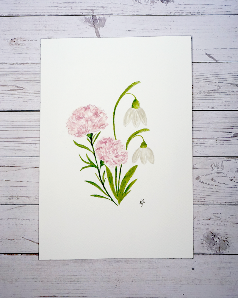 Birth flower month January painting Carnation and Snowdrop in watercolour by The Petal Cove, Lauren Fisher