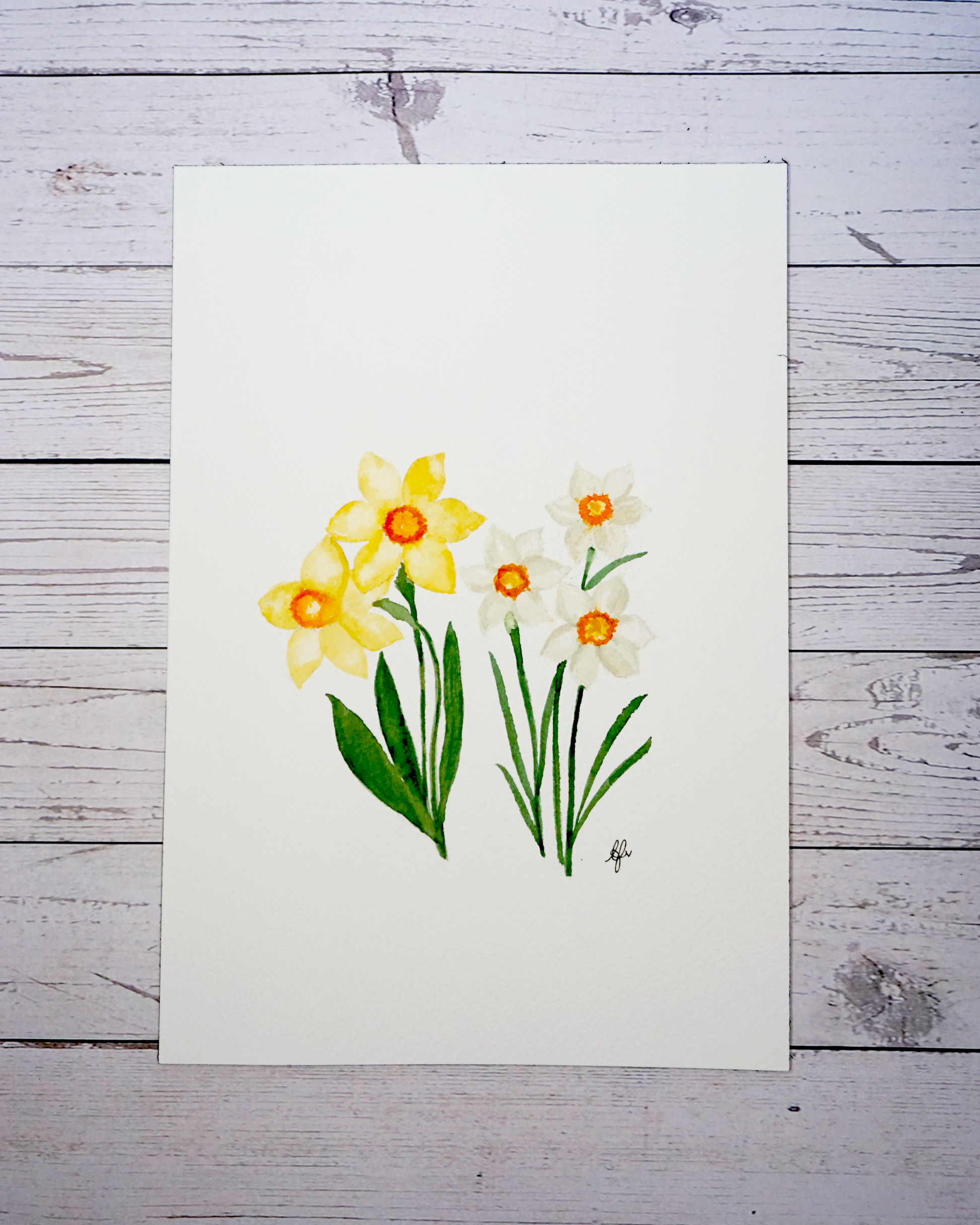 Birth flower month March painting Daffodil and Jonquil in watercolour by The Petal Cove, Lauren Fisher