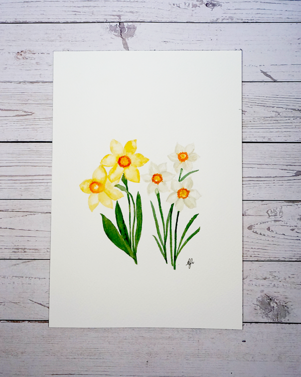 Daffodil & Jonquil