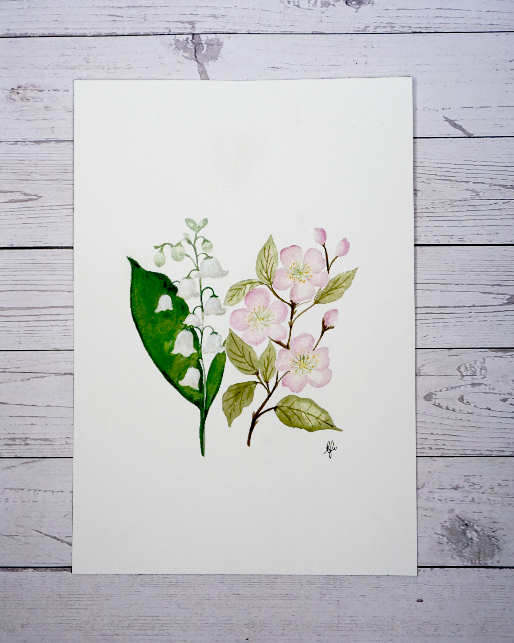 Birth flower month May painting Lily of the Valley and Hawthorn in watercolour by The Petal Cove, Lauren Fisher