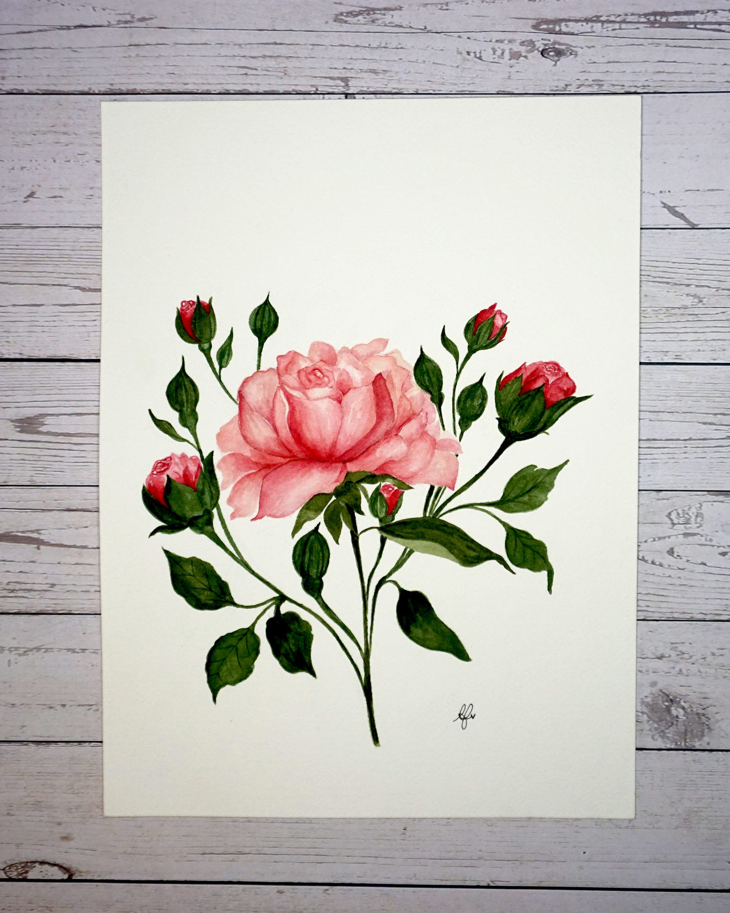 Custom Botanical Watercolour Paintings