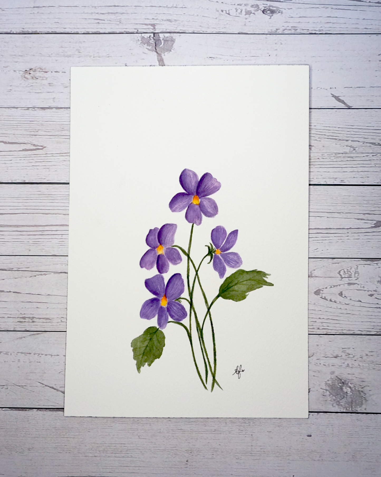 Violets Watercolour Painting by The Petal Cove, Lauren Fisher